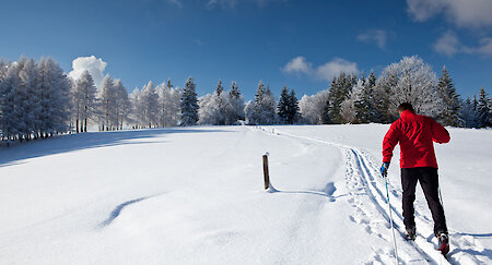 Langlauf im Bayerischen Wald